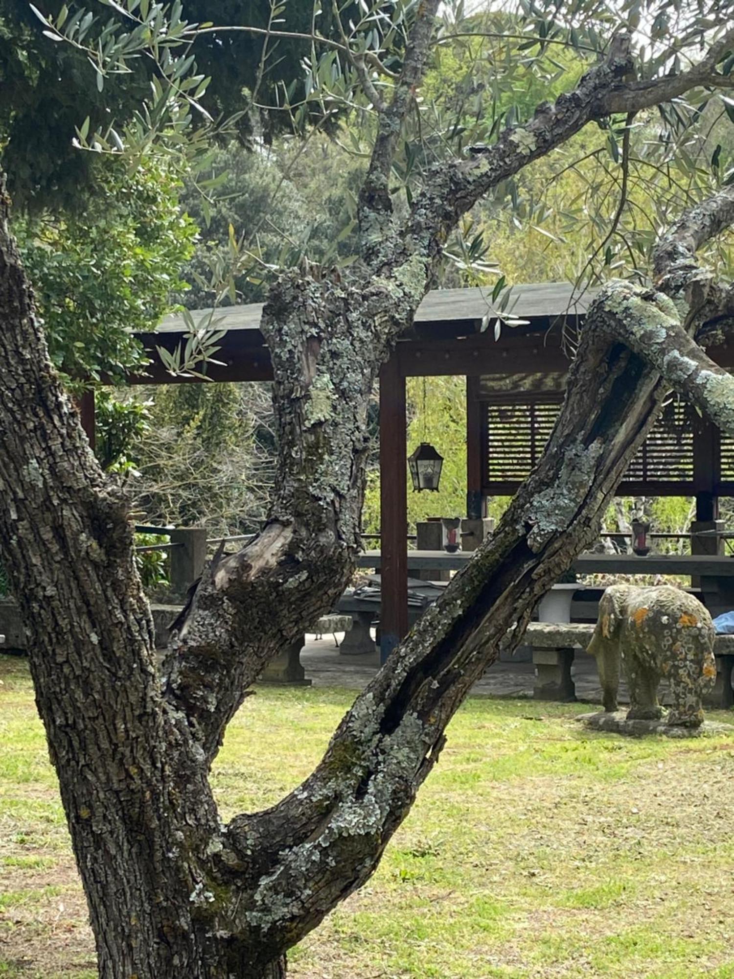 Il Castelletto Della Palanzana Villa Viterbo Kültér fotó